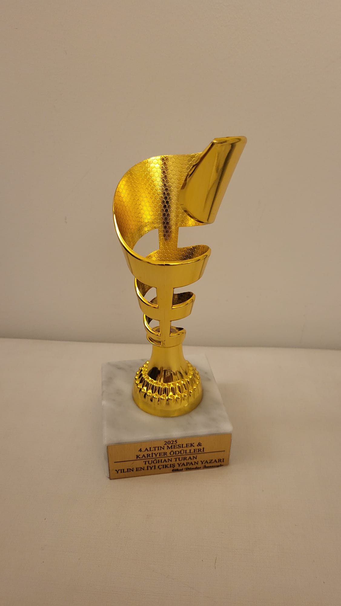 4. ALTIN MESLEK VE KARİYER ÖDÜLLERİ