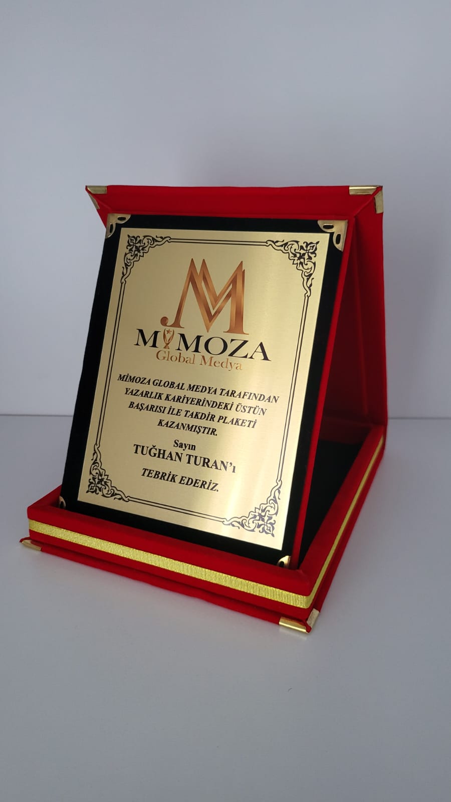 MİMOZA GLOBAL MEDYA